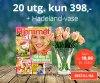Hjemmet.jpg
