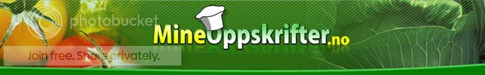mineoppskrifter30.jpg