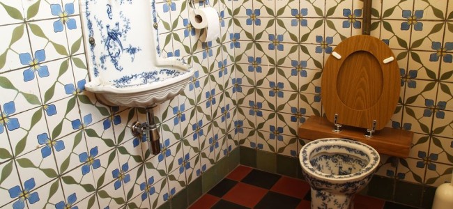 Verdens største samling av toalettbilder