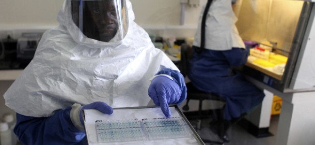 Hva er Ebola virus?