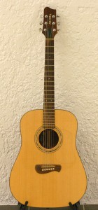 stalstreg-gitar-western